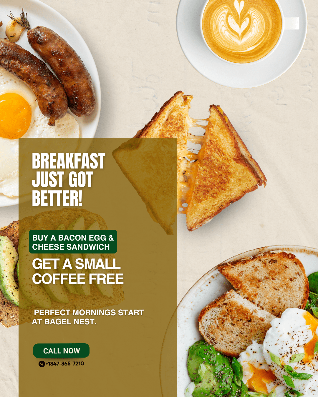 Bagel Nest - Feed Post (1)